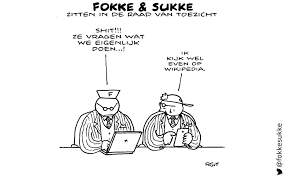 Toezicht